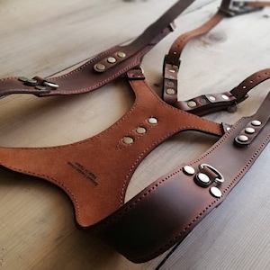 May include: A brown leather harness with adjustable straps and metal hardware. The harness features a central chest piece with decorative rivets and is designed for a secure fit. The leather has a rich, natural color and texture.