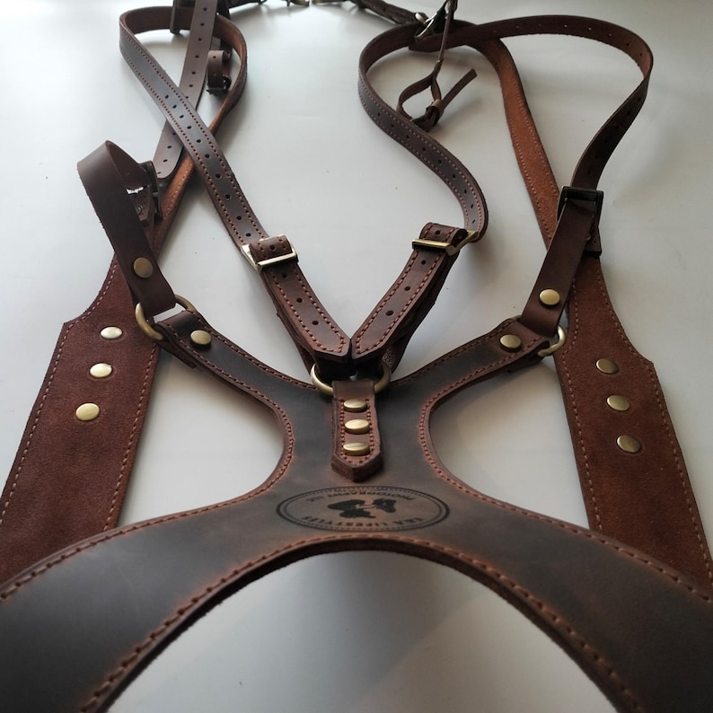 May include: A brown leather harness with adjustable straps and metal hardware. The harness features a chest plate with a stamped logo and is designed for a secure fit. The leather has a distressed finish, giving it a vintage look.