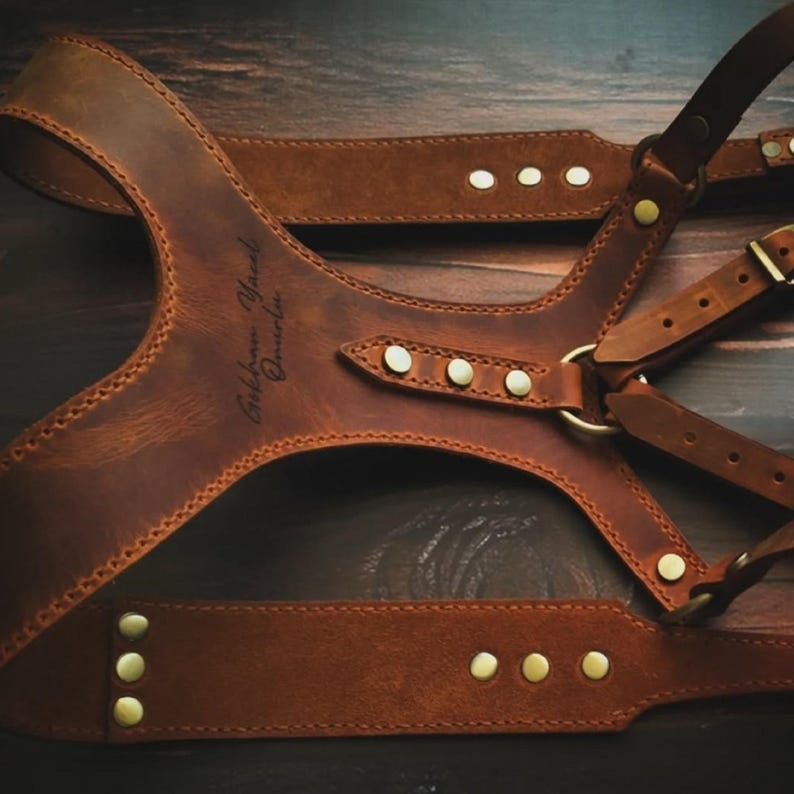 May include: A brown leather camera harness with adjustable straps and metal hardware. The harness features decorative rivets and the text "G&ouml;khan Y&uuml;cel &Ouml;merli" is visible. The leather has a distressed finish.