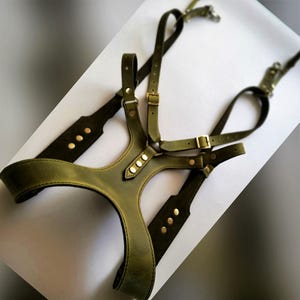 May include: Olive green leather harness with adjustable straps and gold-tone hardware. The harness features a Y-shaped chest piece and shoulder straps, with decorative rivets and buckles. The design is symmetrical and appears to be handmade.