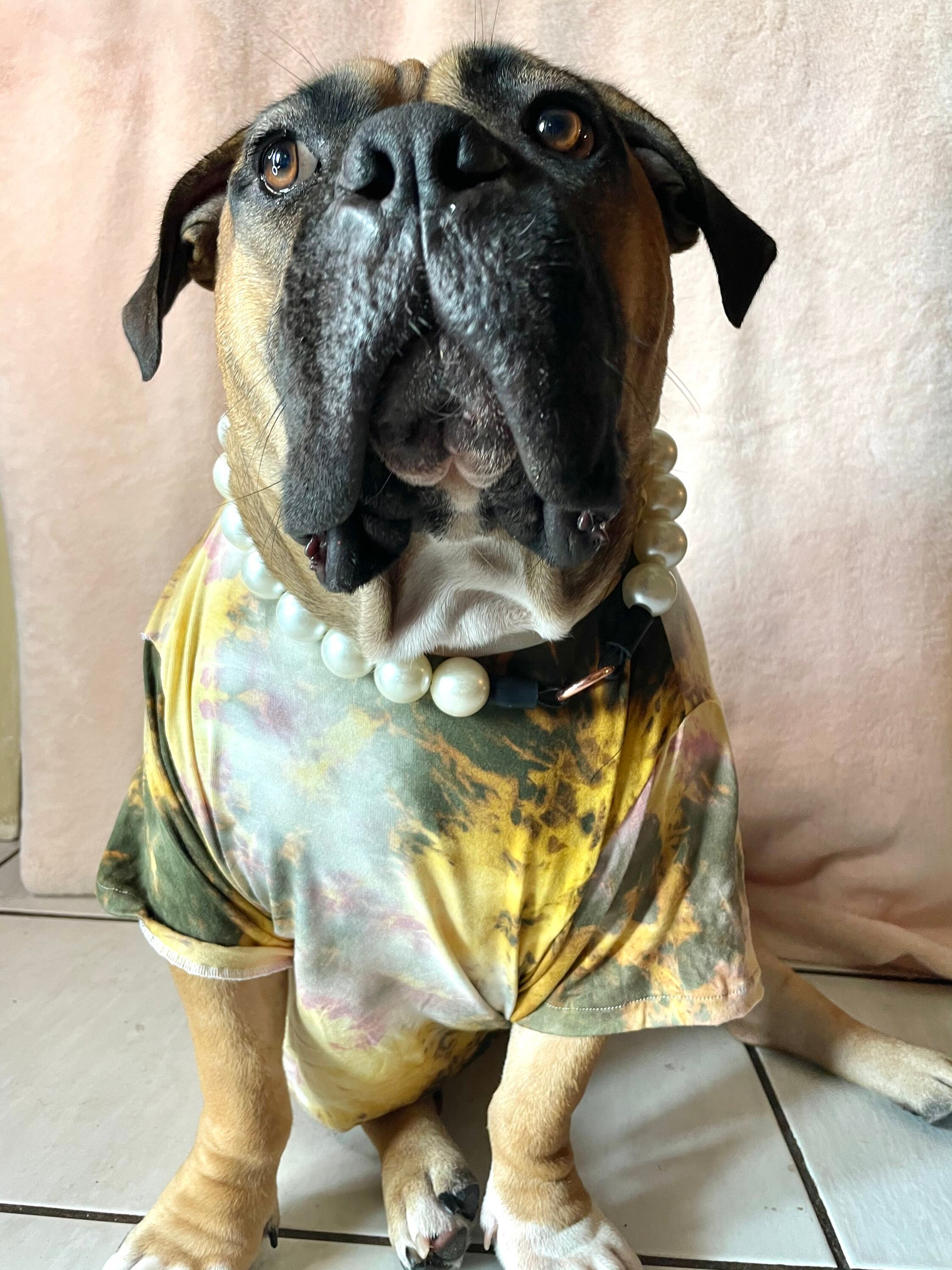 large breed dog dresses