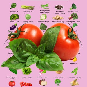 The Zone Diet image 6