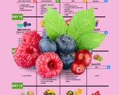 Weight Watchers, 28 days diet plan, WW planner