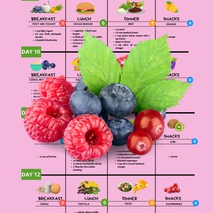 Weight Watchers, 28 days diet plan, WW planner