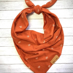 Boho Arrows Rust Burnt Orange Knit Dog Bandana | Tie On | Fall Fashion | Family Pet Portraits Photos | Dog Mom | Puppy Cat Longhorns Pumpkin