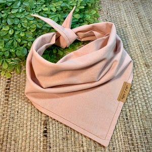 Puede incluir: Un pañuelo de color rosa claro con una etiqueta marrón que dice "wild & free".