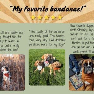 Southwest Winter White Flannel Dog Bandana/Red Turquoise Aztec Super Soft Tie On Slip On/Family Portrait Photo Shoot Fashion/Christmas Day image 9