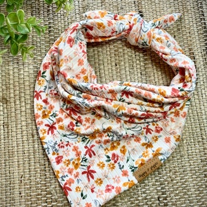 May include: A floral dog bandana with a cream background and a pattern of orange, red, and gray flowers. The bandana is tied in a knot and has a small brown leather tag that reads "Diggs & Pippins".
