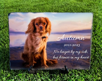 Op maat gemaakt PET-gedenkteken Volledige fotolijst leisteen donkergrijs Hamster Kat Hond grafmarkering stenen plaquette maat 7,8''x11,8'' 20x30cm