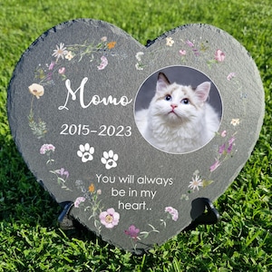 May include: A heart-shaped slate memorial with a photo of a white cat, the name "Momo", the dates "2015-2023", paw prints, and the text "You will always be in my heart..." surrounded by dried flowers.