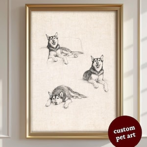 Puede incluir: Obra de arte enmarcada con bocetos a lápiz de tres Huskies siberianos en varias poses relajadas. Los perros están representados con sombreado detallado, sobre un fondo neutro. El marco es dorado, y una pegatina circular en la parte inferior derecha dice "custom pet art."
