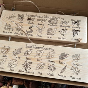 A round wooden nature learning dial made from 3 mm birch plywood, featuring engraved illustrations of 14 common leaves arranged around a rotating centre, designed for children’s outdoor learning and tree identification