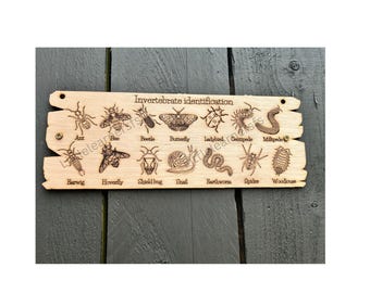 Insect ID Plank: Rustic Wood with Hemp Rope - Outdoor Learning Tool