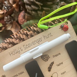a wooden board with various animal and plant illustrations, a pen, and pine cones, all placed on a bed of pine needles.