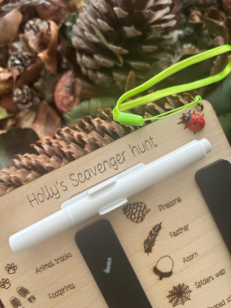 a wooden board with various animal and plant illustrations, a pen, and pine cones, all placed on a bed of pine needles.