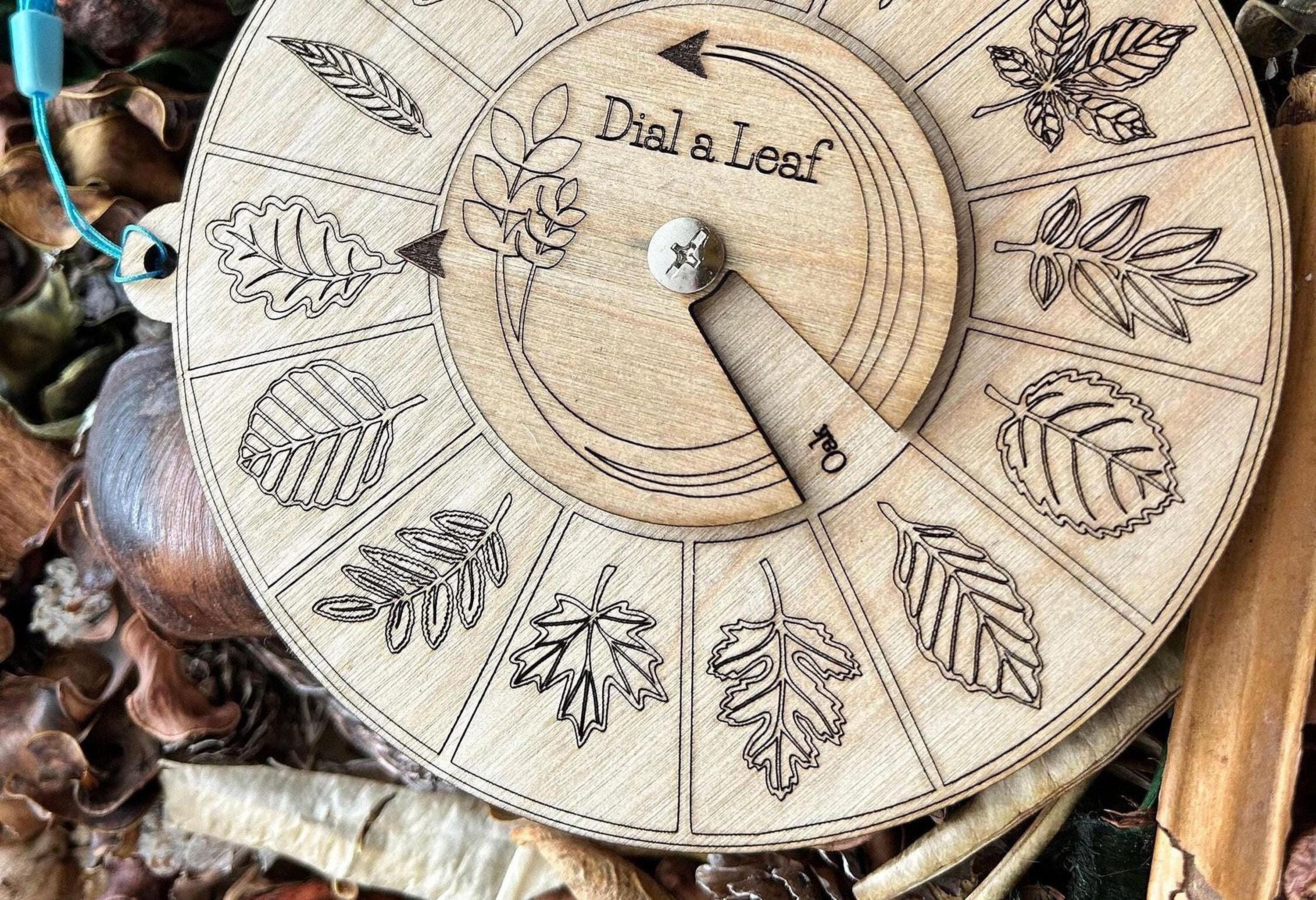 Birch Wood Leaf Identifier Dial - 14 Common Leaves for Outdoor Learning ...