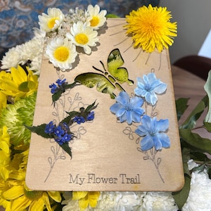 May include: A wooden plaque with the text "My Flower Trail" and pressed flowers, including white daisies, blue forget-me-nots, and a yellow dandelion.