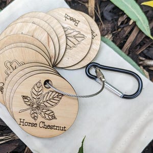 UK Tree Leaf Learning Discs, 12 Wooden Sensory Activity Set (45mm)