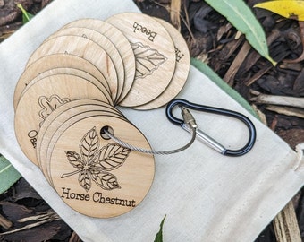 Leaf learning discs, back to school, teachers gift, birthday leaving gift, forest school, primary, eyfs