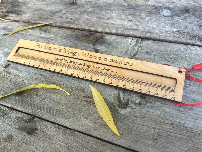 Mega Worm measure: Large Wooden Ruler - Natural Oil Finish image 3