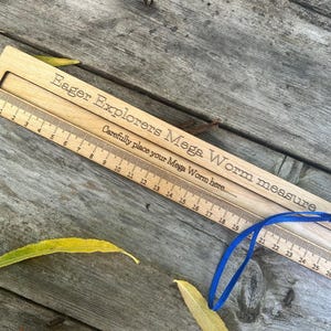 Mega Worm measure: Large Wooden Ruler - Natural Oil Finish image 5