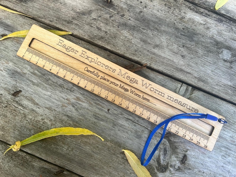 Mega Worm measure: Large Wooden Ruler - Natural Oil Finish image 5