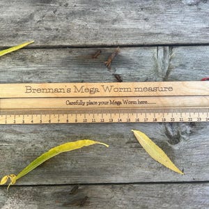 Mega Worm measure: Large Wooden Ruler - Natural Oil Finish image 2