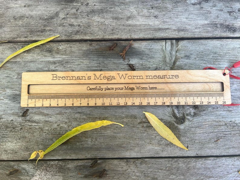 Mega Worm measure: Large Wooden Ruler - Natural Oil Finish image 2