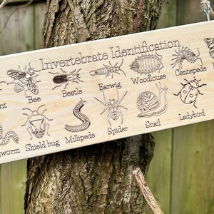 May include: A wooden sign with the title "Invertebrate Identification" and illustrations of various invertebrates, including an ant, bee, beetle, earwig, woodlouse, centipede, butterfly, earthworm, shield bug, millipede, spider, snail, ladybug, and hoverfly.