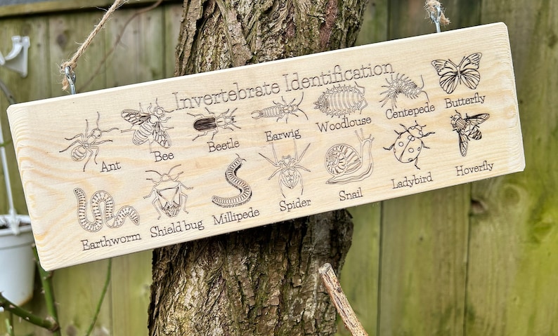 May include: A wooden sign with the title "Invertebrate Identification" and illustrations of various invertebrates, including an ant, bee, beetle, earwig, woodlouse, centipede, butterfly, earthworm, shield bug, millipede, spider, snail, ladybug, and hoverfly.