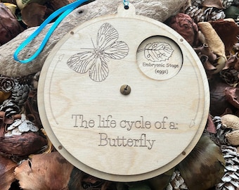 Butterfly Life Cycle Toy: Hands-On Learning - Montessori Inspired