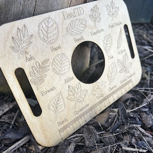 A wooden leaf identification guide with various types of leaves and their names printed on it, resting on a bed of leaves and twigs.