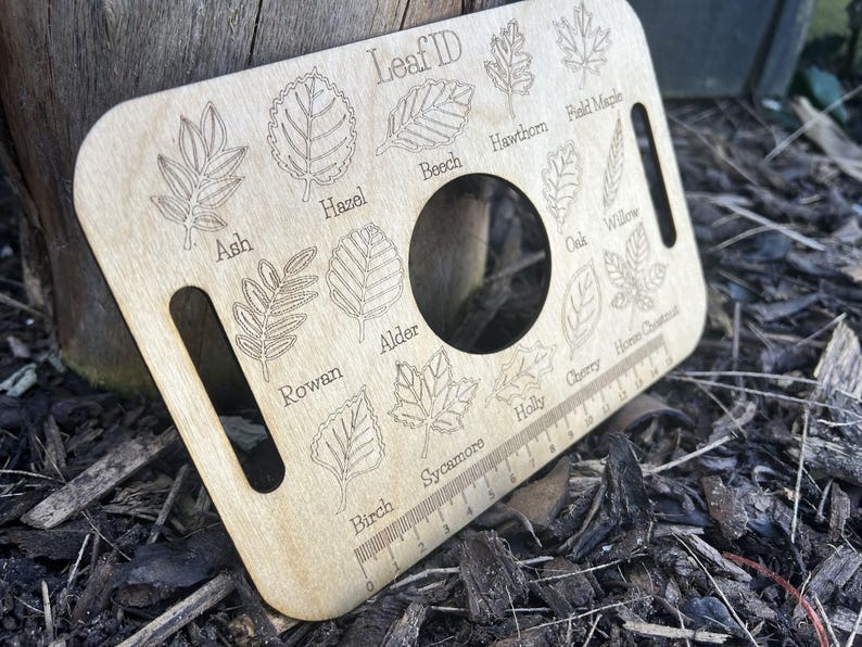 A wooden leaf identification guide with various types of leaves and their names printed on it, resting on a bed of leaves and twigs.