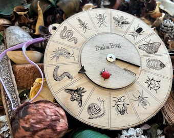 Wooden Insect Dial Toy: Bug Identifier for Kids, Eco-Friendly Nature Tool