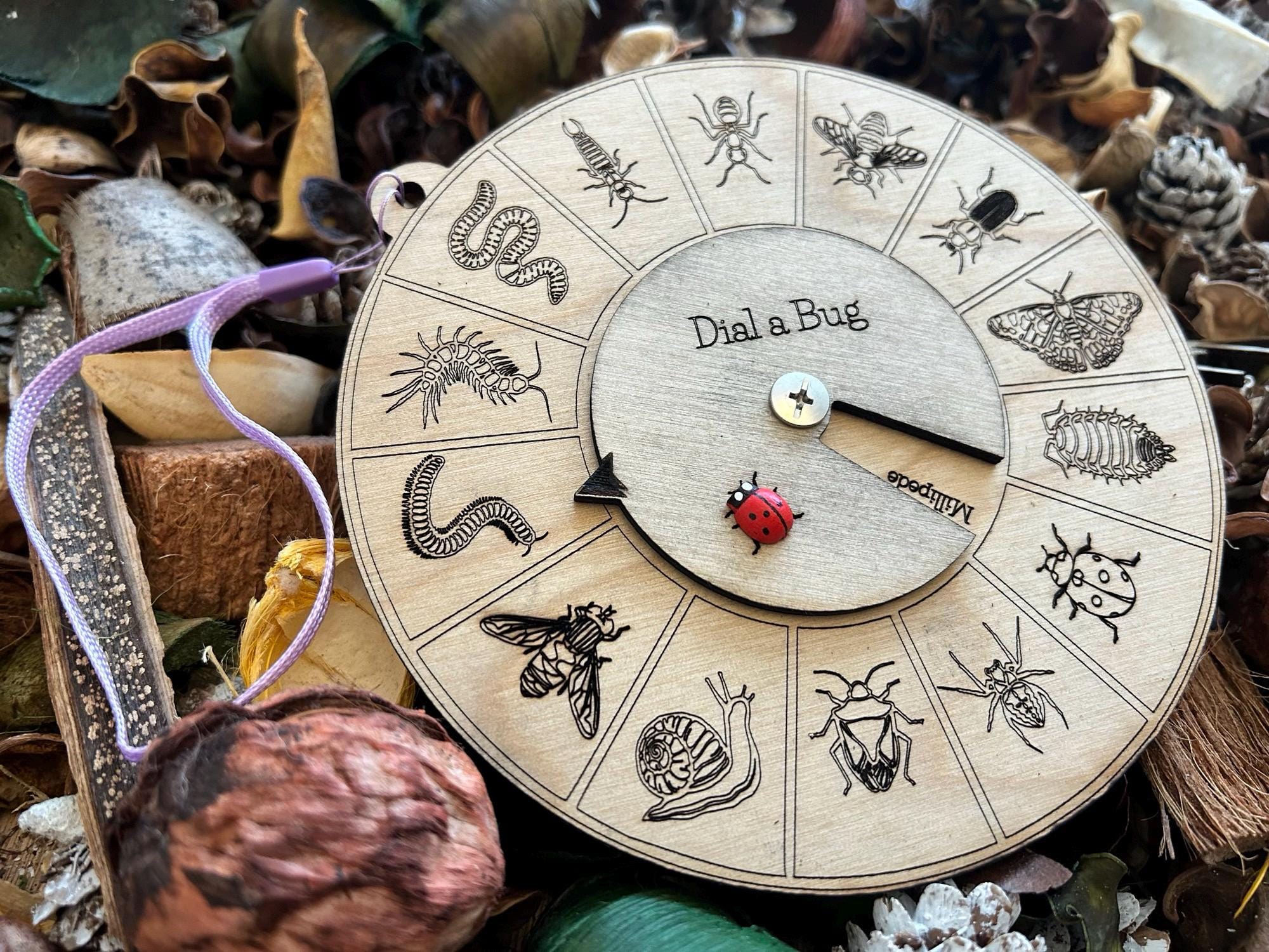 Wooden Insect Dial Toy: Bug Identifier for Kids, Eco-friendly Nature ...