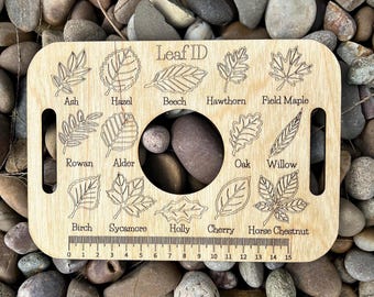 Nature Learning Leaf Tray, Birch Wood, Engraved Leaves (14 Pieces)