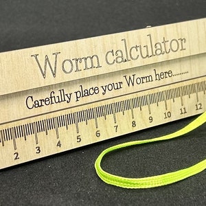 Worm calculator measurer, personalised teachers gift, birthday leaving gift, forest school, primary, eyfs, montessori,