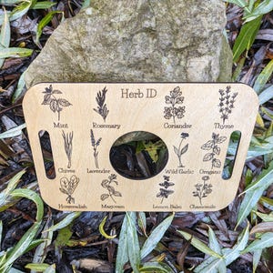Nature Learning Herb Tray, Birch Wood (12 Engraved Herbs, Handles) image 6