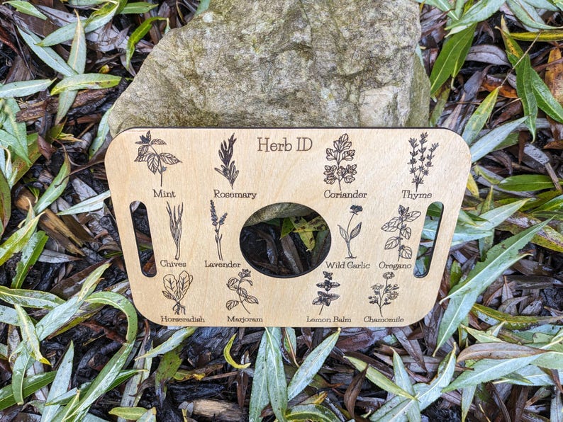 Nature Learning Herb Tray, Birch Wood (12 Engraved Herbs, Handles) image 6
