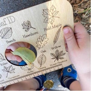 A child's hands holding a wooden leaf identification guide with various leaf illustrations and names printed on it.