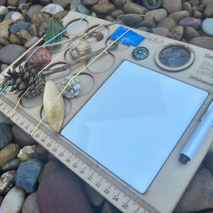 Outdoor Adventure Scavenger Board: Bug & Leaf ID with Compass