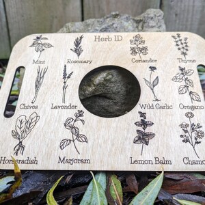 Nature Learning Herb Tray, Birch Wood (12 Engraved Herbs, Handles) image 7