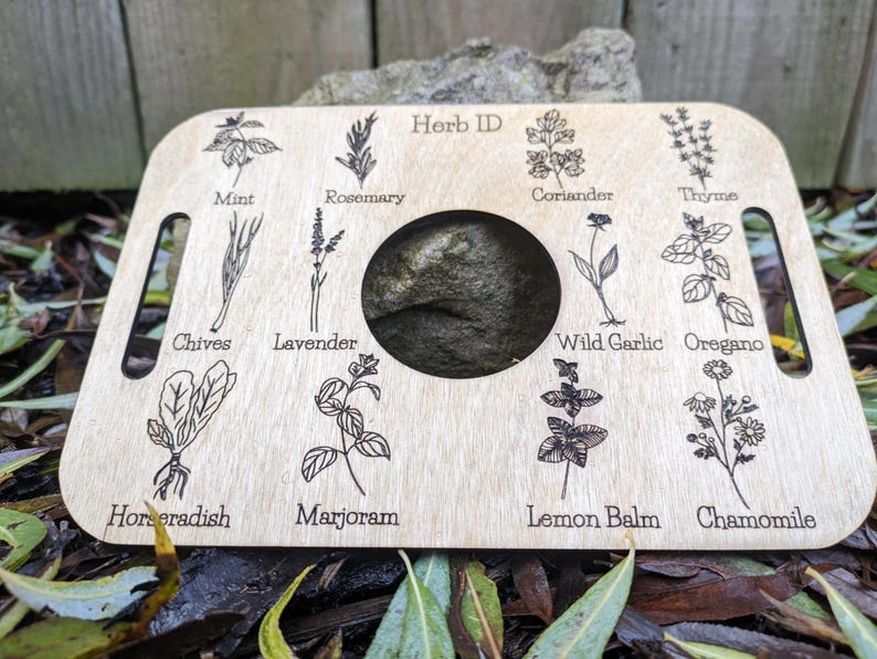 Nature Learning Herb Tray, Birch Wood (12 Engraved Herbs, Handles) image 7