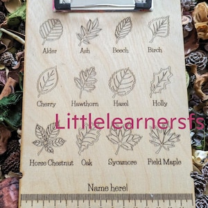 May include: Wooden clipboard featuring leaf illustrations labeled Alder, Ash, Beech, Birch, Cherry, Hawthorn, Hazel, Holly, Horse Chestnut, Oak, Sycamore, and Field Maple. Includes a ruler and the text "Name here!" and "Littlelearnersfs".
