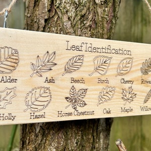 Forest School, Tree and Bug Identification Sign - Engraved 30x10cm ...