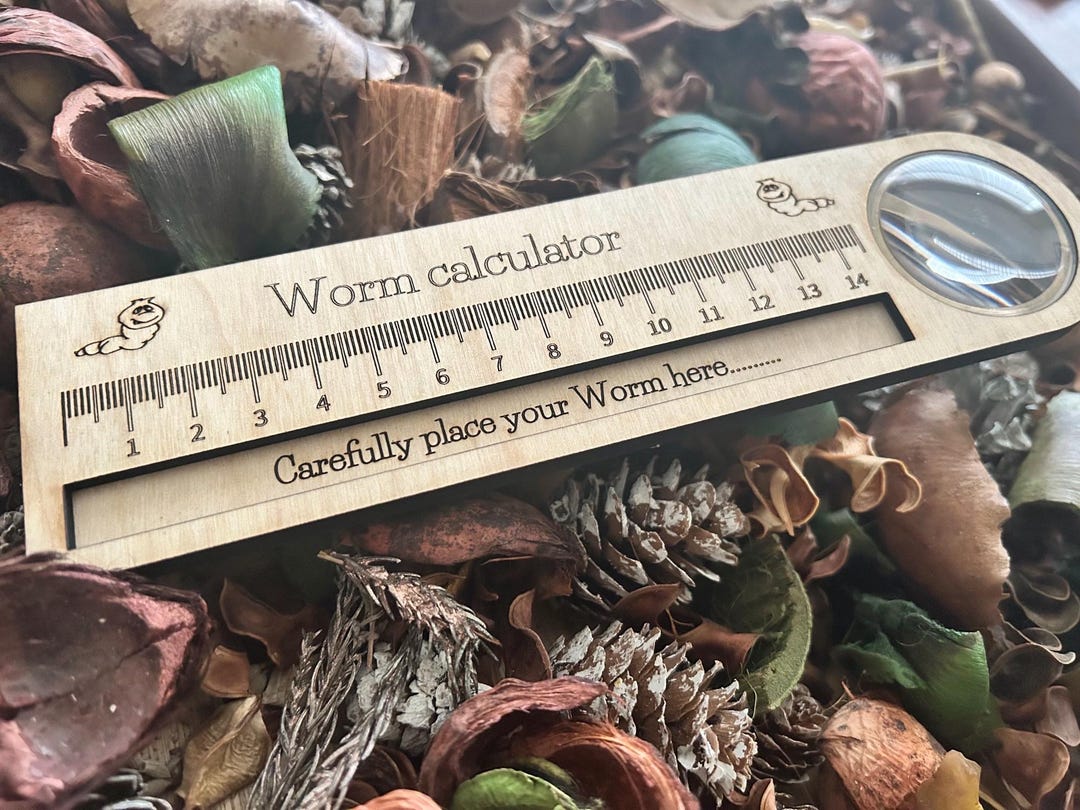 Inflatable Inchworm Calculator Worm Measuring Tool: Birch Plywood, Built-in Magnifier - Forest School ...