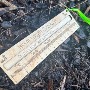 A wooden ruler with a green string attached, lying on a bed of leaves and twigs.