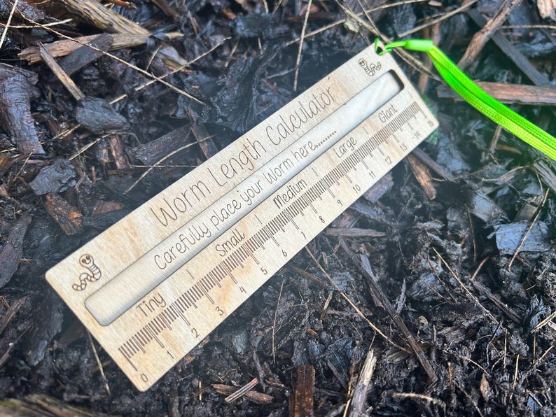 A wooden ruler with a green string attached, lying on a bed of leaves and twigs.
