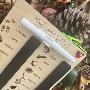 A wooden board with various animal and plant illustrations, including a ladybug, pine cones, and leaves, along with a pen and a green clip.