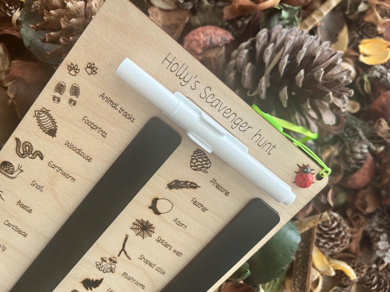 A wooden board with various animal and plant illustrations, including a ladybug, pine cones, and leaves, along with a pen and a green clip.